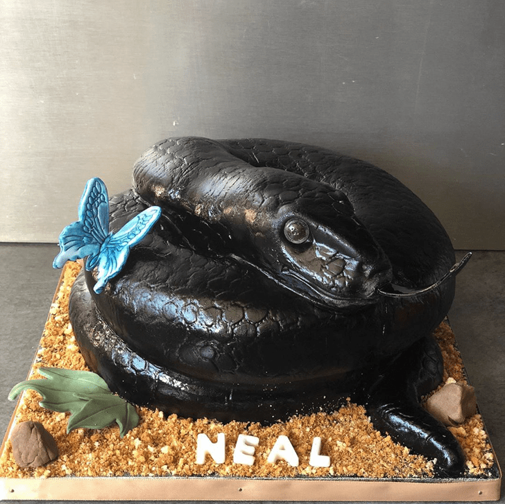 Ideal Snake Cake
