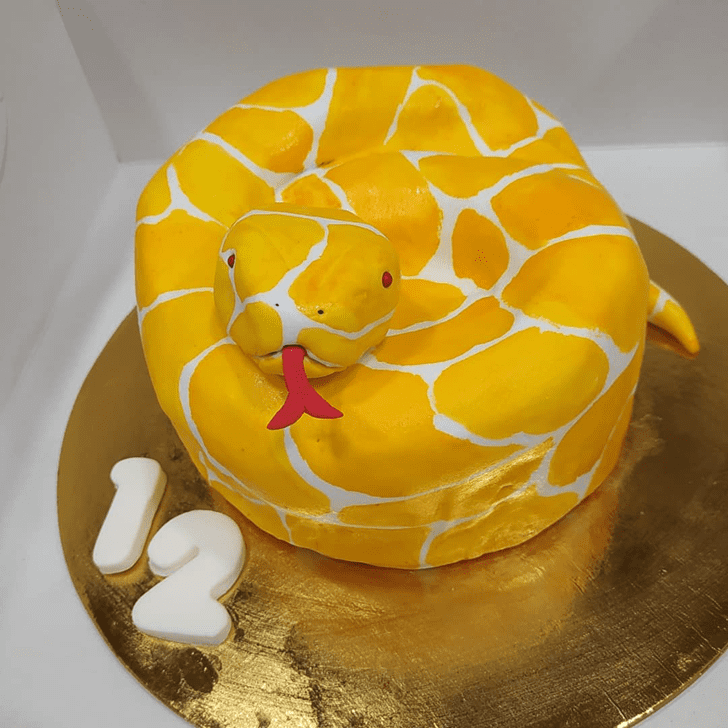 Magnetic Snake Cake