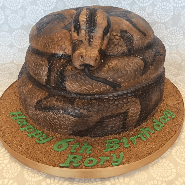 Nice Snake Cake