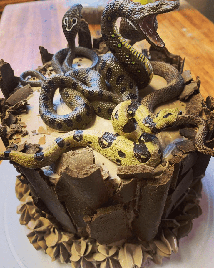 Pretty Snake Cake