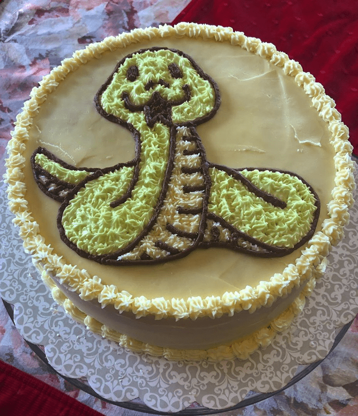 Slightly Snake Cake