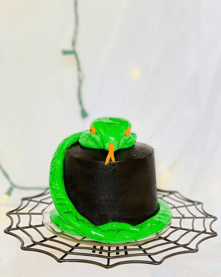 Stunning Snake Cake