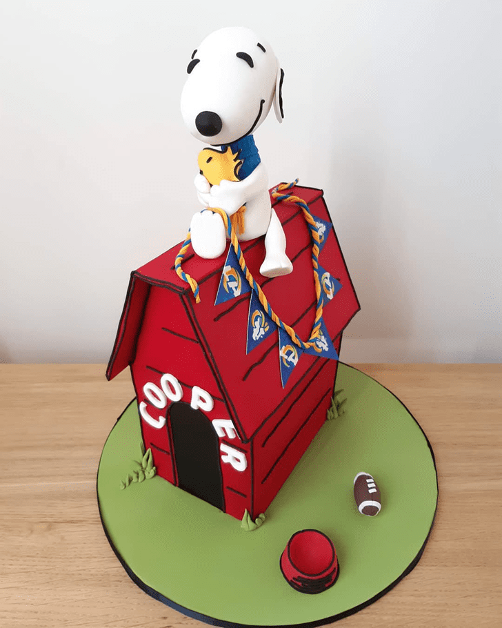 Splendid Snoopy Cake