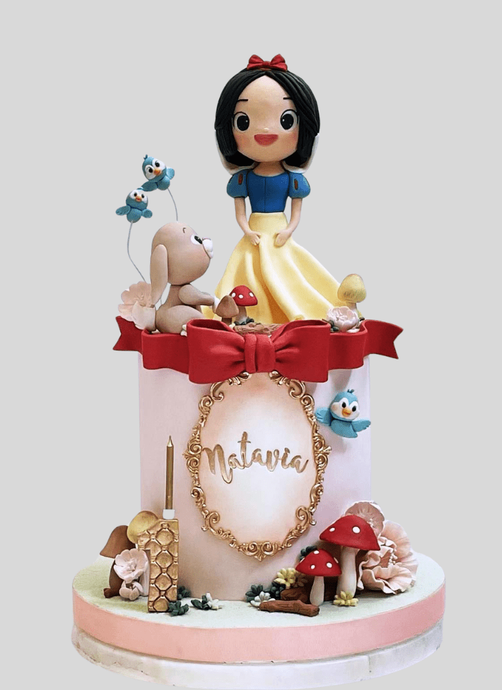 Adorable Snow White Cake