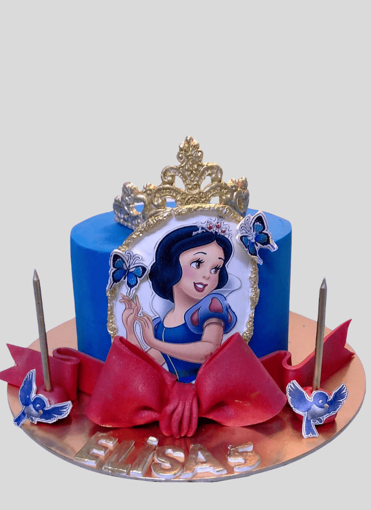 Classy Snow White Cake