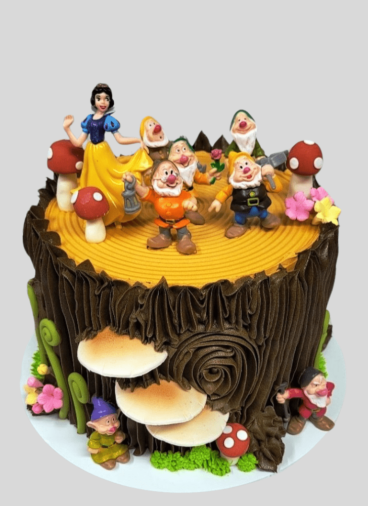 Gorgeous Snow White Cake