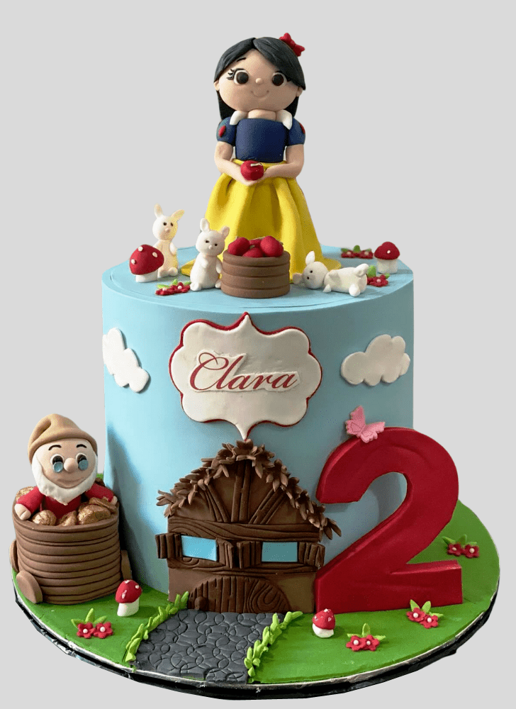 Handsome Snow White Cake