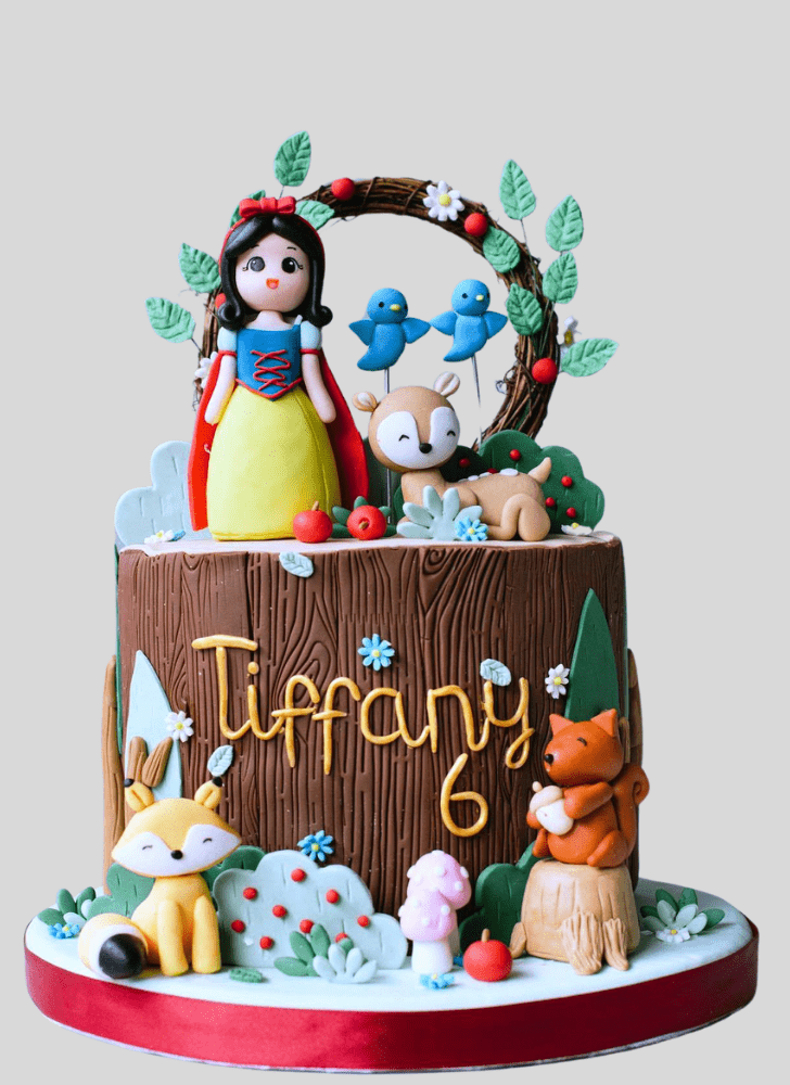 Resplendent Snow White Cake