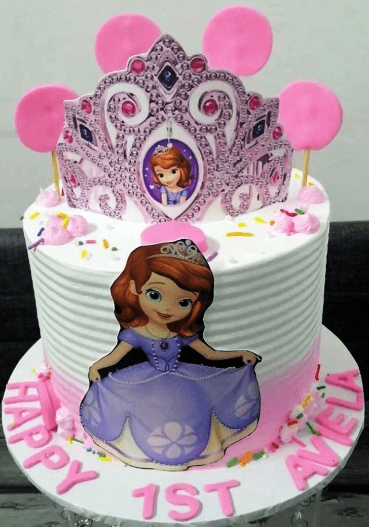 Magnetic Sofia Cake