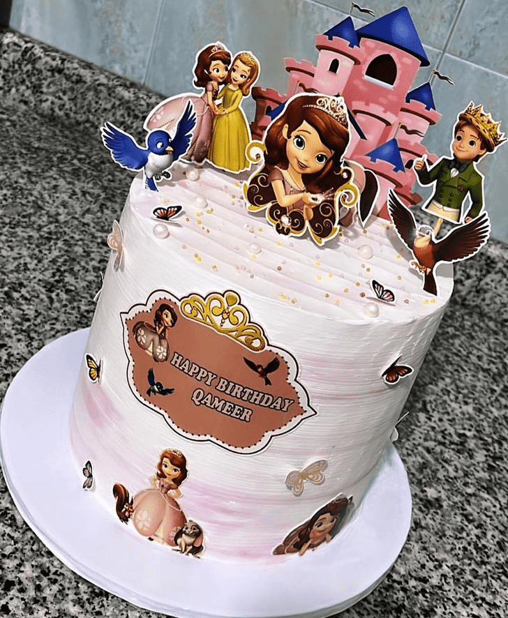 Wonderful Sofia Cake Design