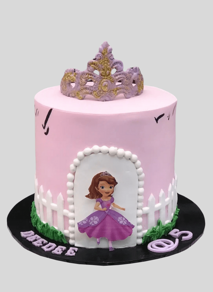 Comely Sofia The First Cake