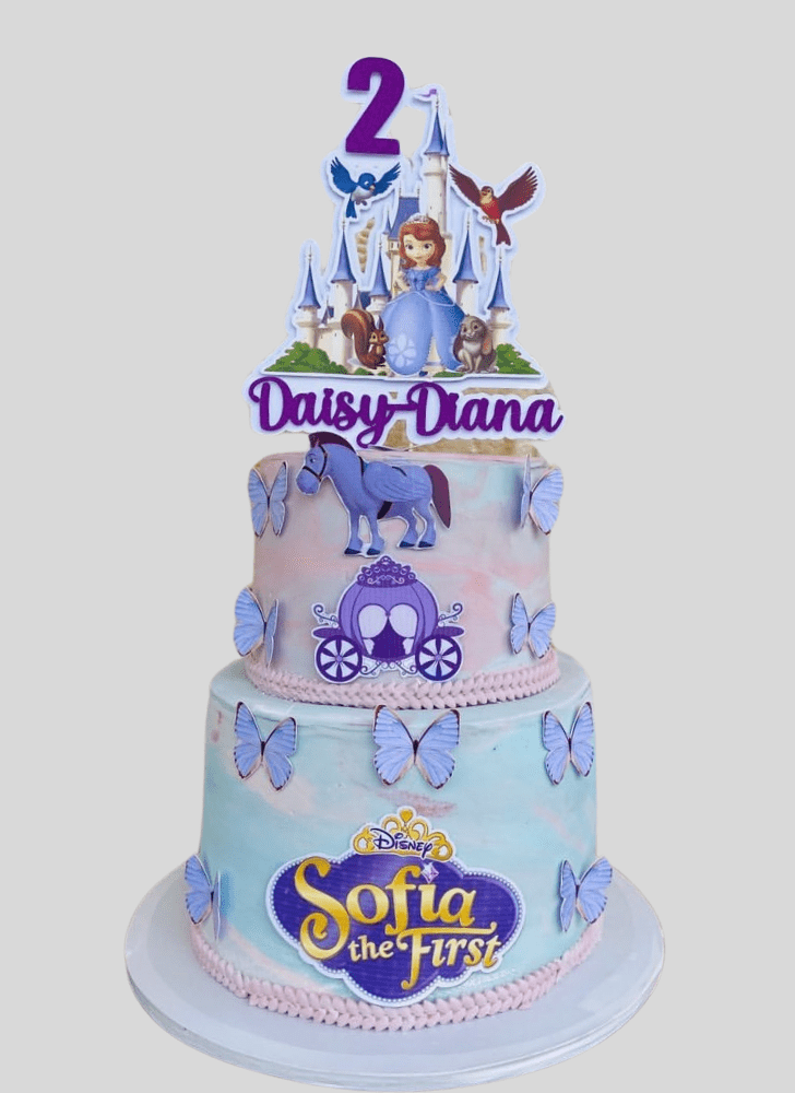 Divine Sofia The First Cake