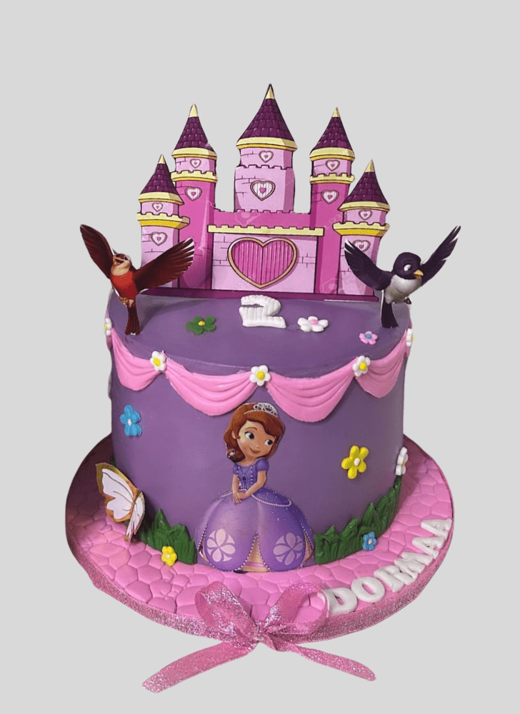 Fetching Sofia The First Cake