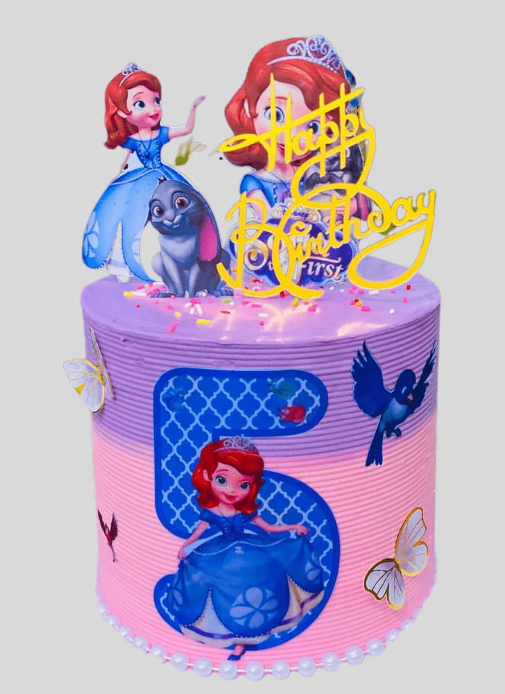 Handsome Sofia The First Cake