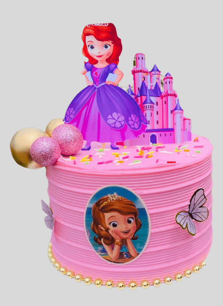 Nice Sofia The First Cake