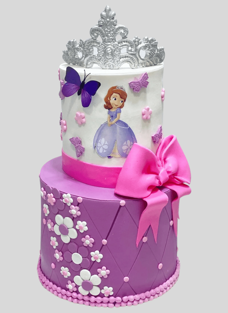 Shapely Sofia The First Cake