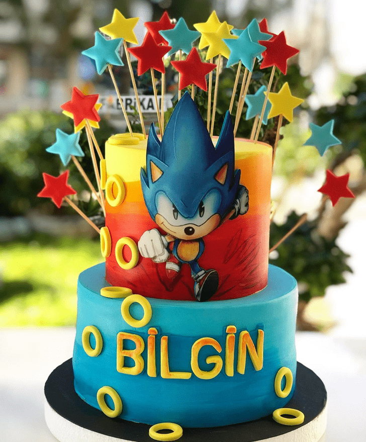 Elegant Sonic Cake