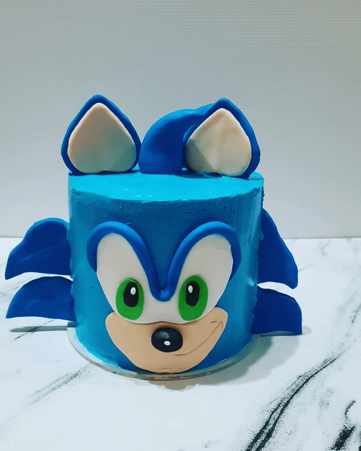 Excellent Sonic Cake