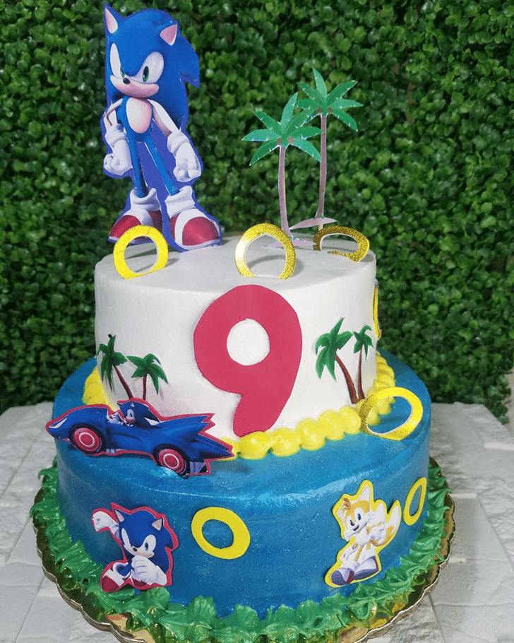 Exquisite Sonic Cake
