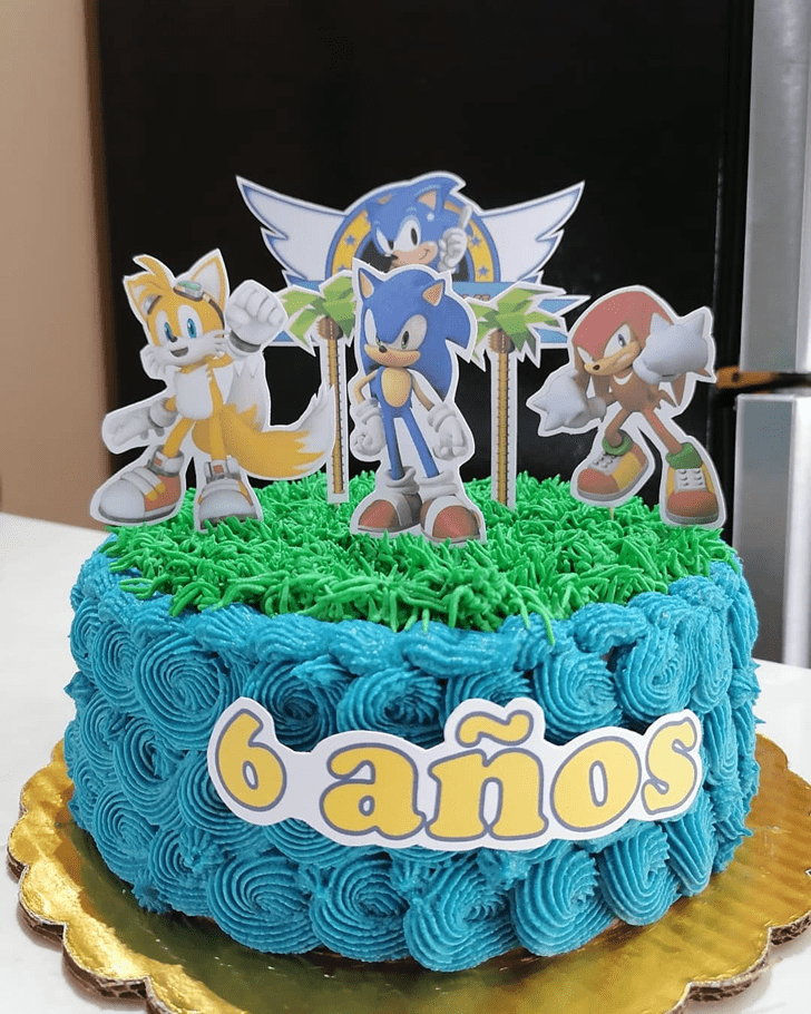Fine Sonic Cake