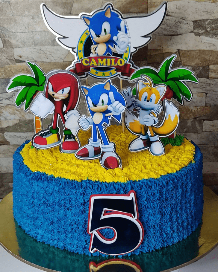 Lovely Sonic Cake Design