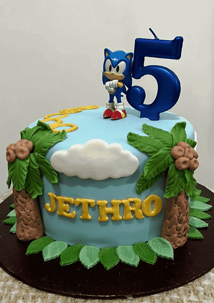 Magnetic Sonic the Hedgehog Cake