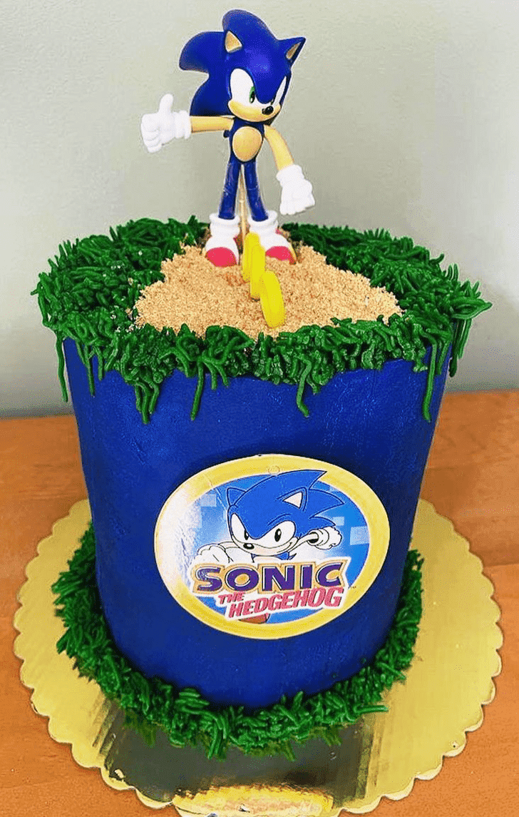 Pleasing Sonic the Hedgehog Cake