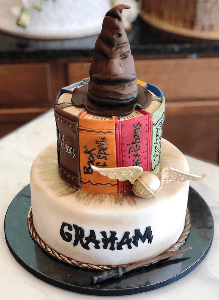 Shapely Sorting Hat Cake