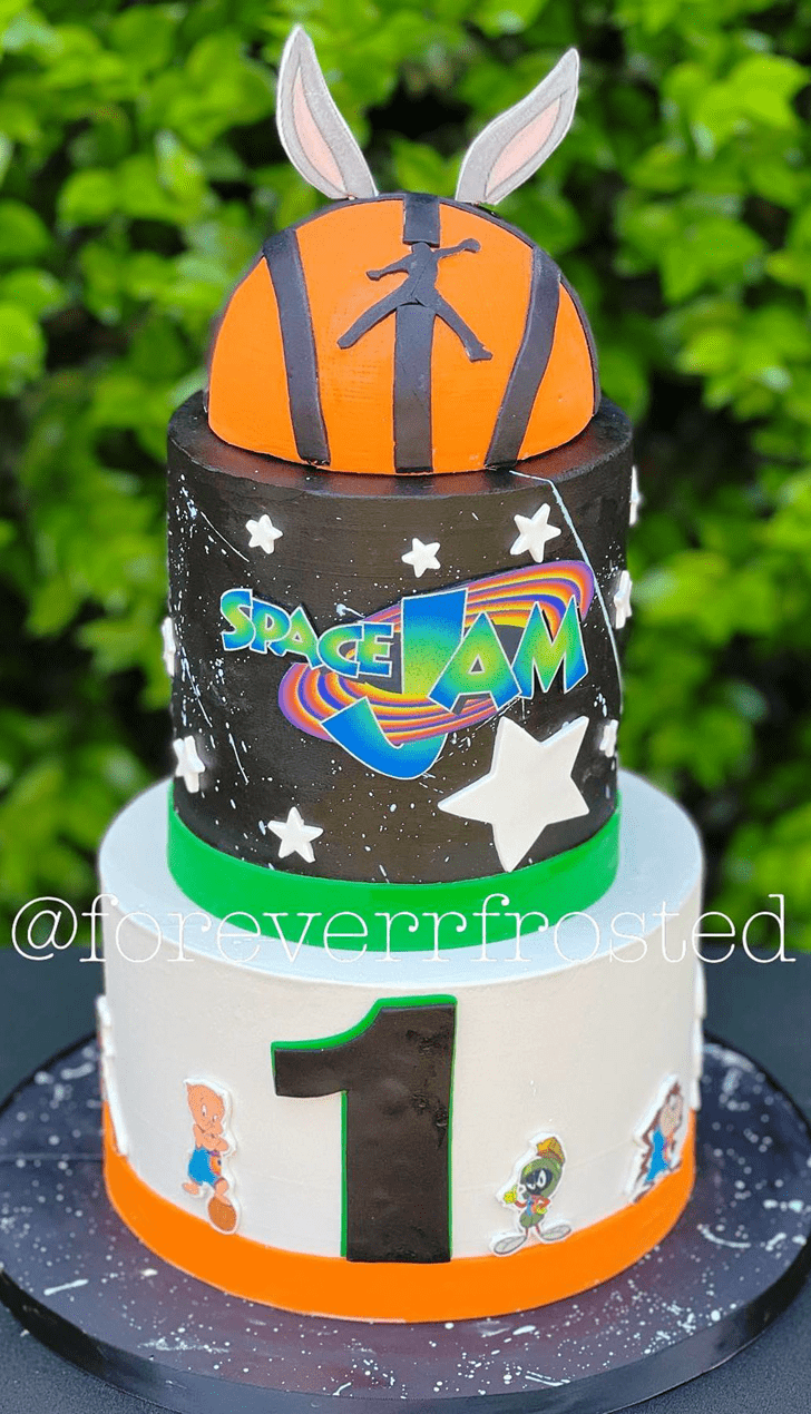 Wonderful Space Jam Cake Design