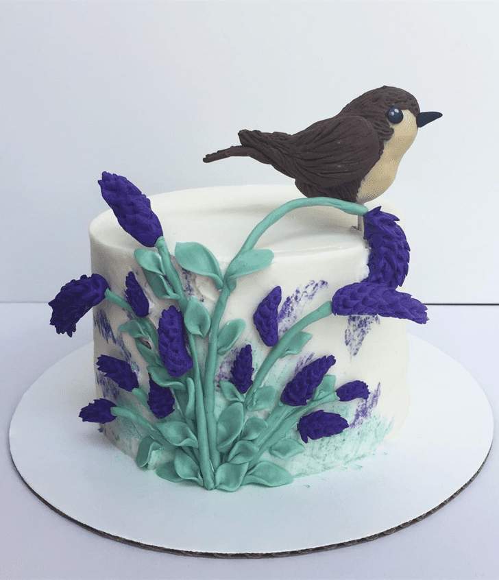 Angelic Sparrow Cake