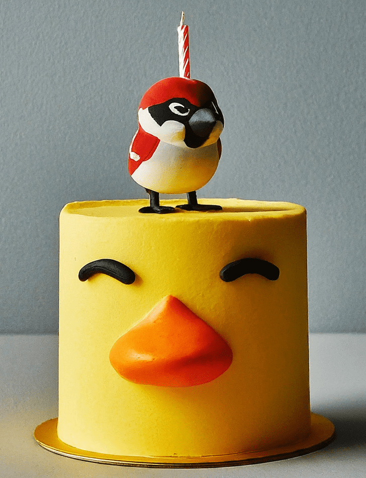 Magnetic Sparrow Cake