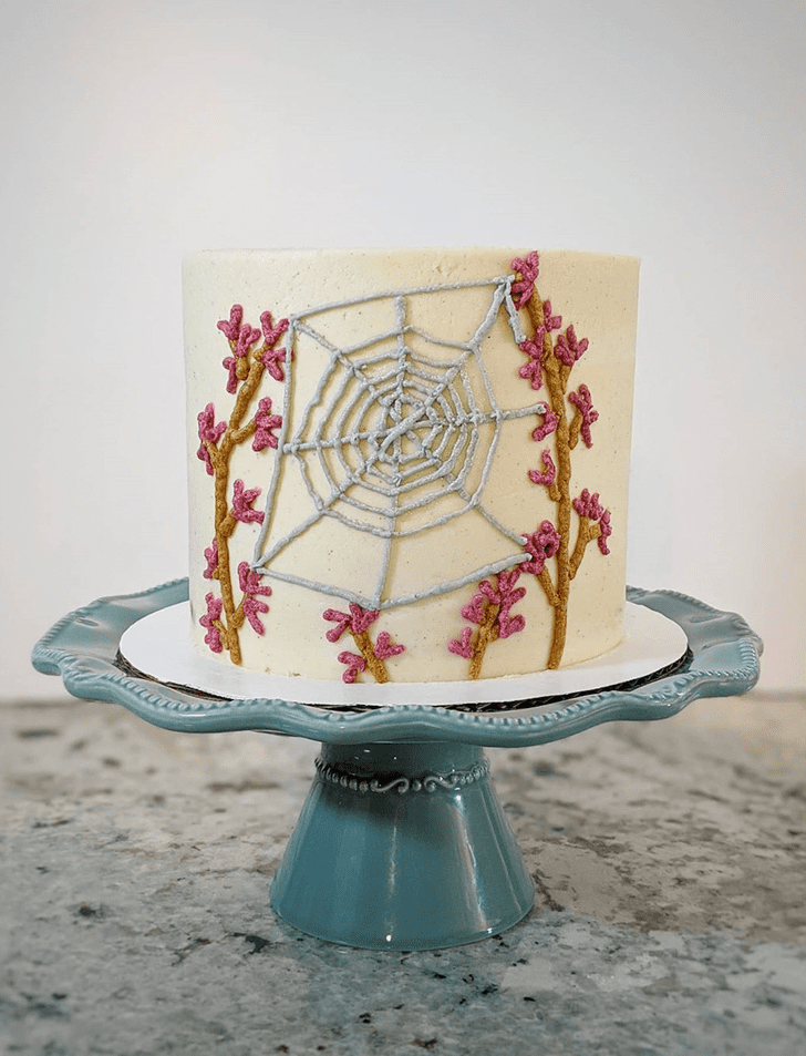 Admirable Spider Cake Design