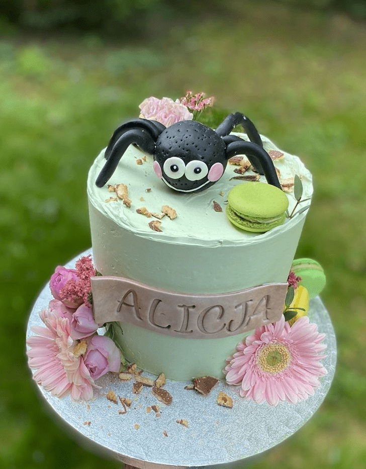 Beauteous Spider Cake