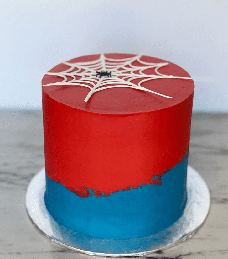 Bewitching Spider Cake