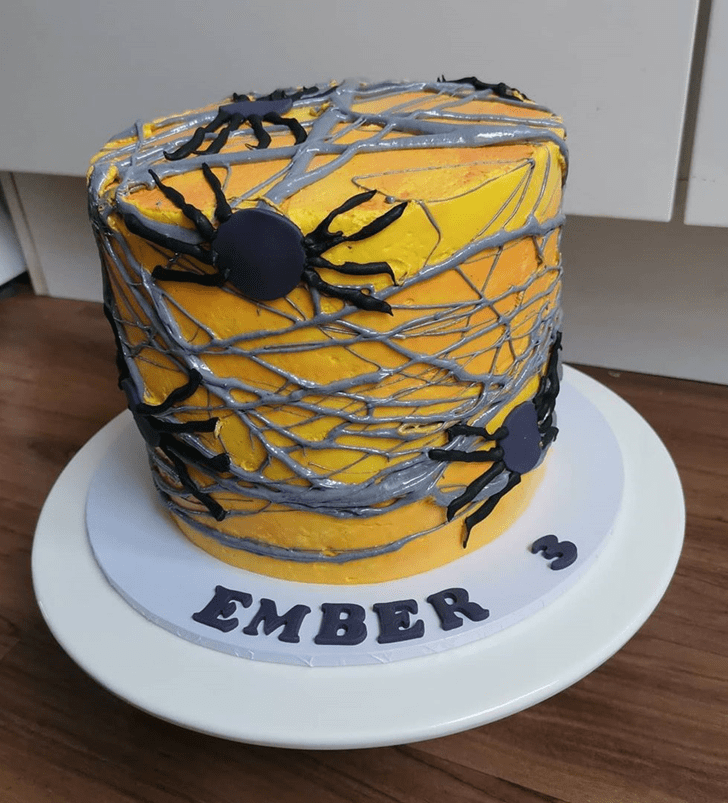 Delicate Spider Cake