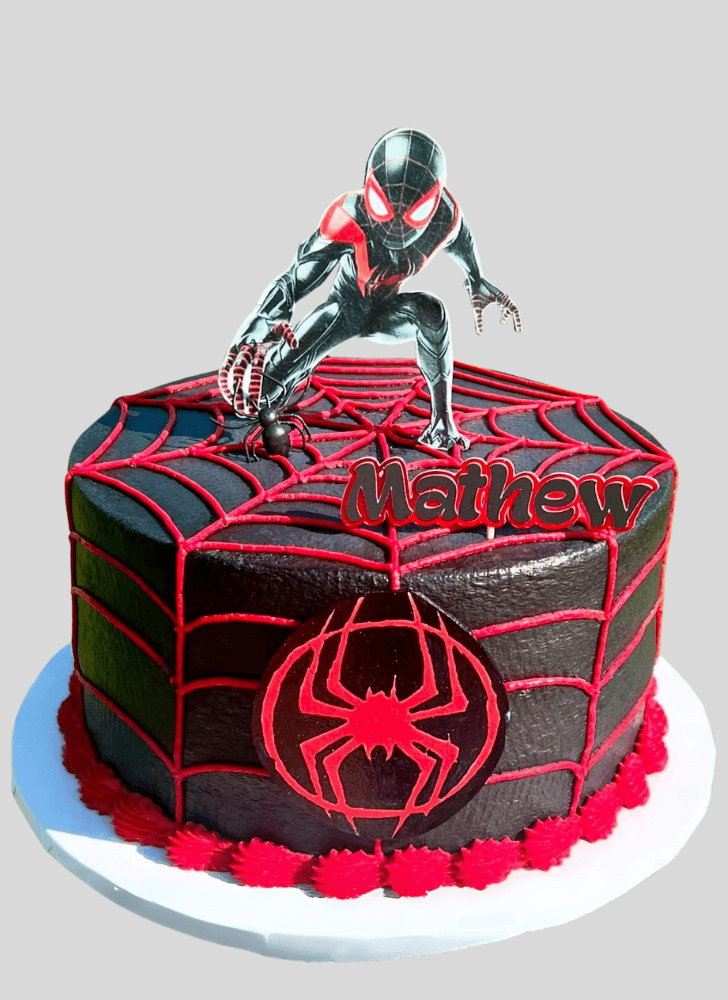 Admirable Spider-Verse Cake Design