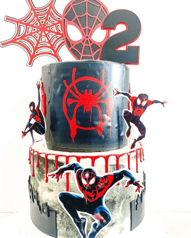 Fetching Spider-Verse Cake