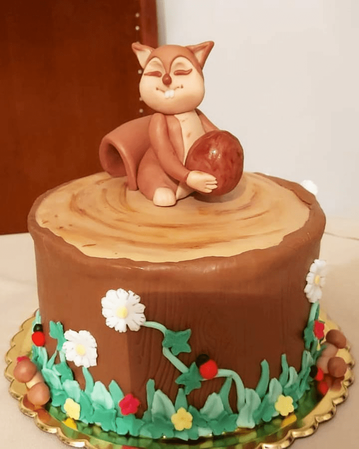 Comely Squirrel Cake