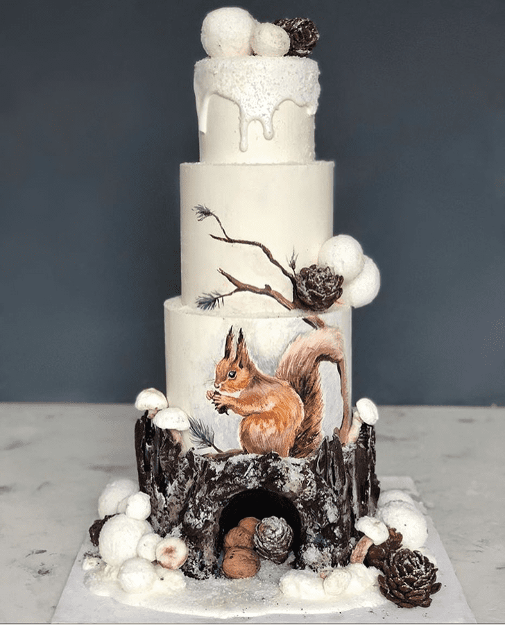 Excellent Squirrel Cake