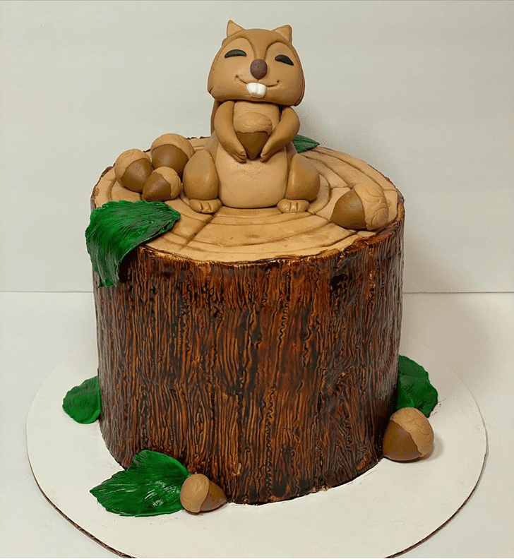 Lovely Squirrel Cake Design