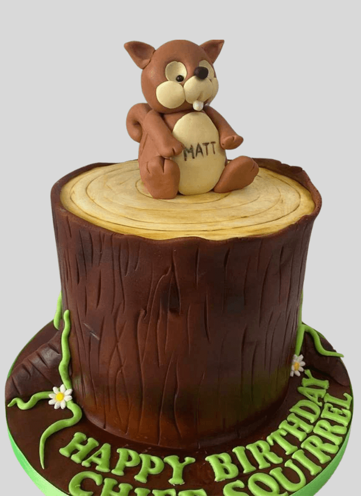 Comely Squirrels Cake