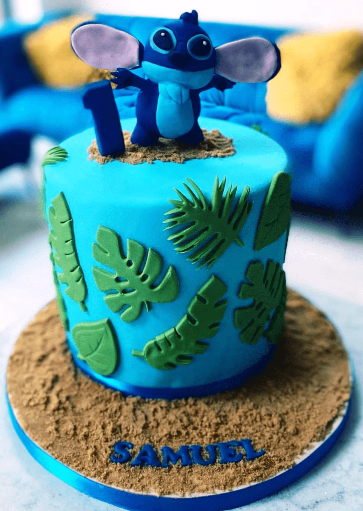 Dazzling Stitch Cake