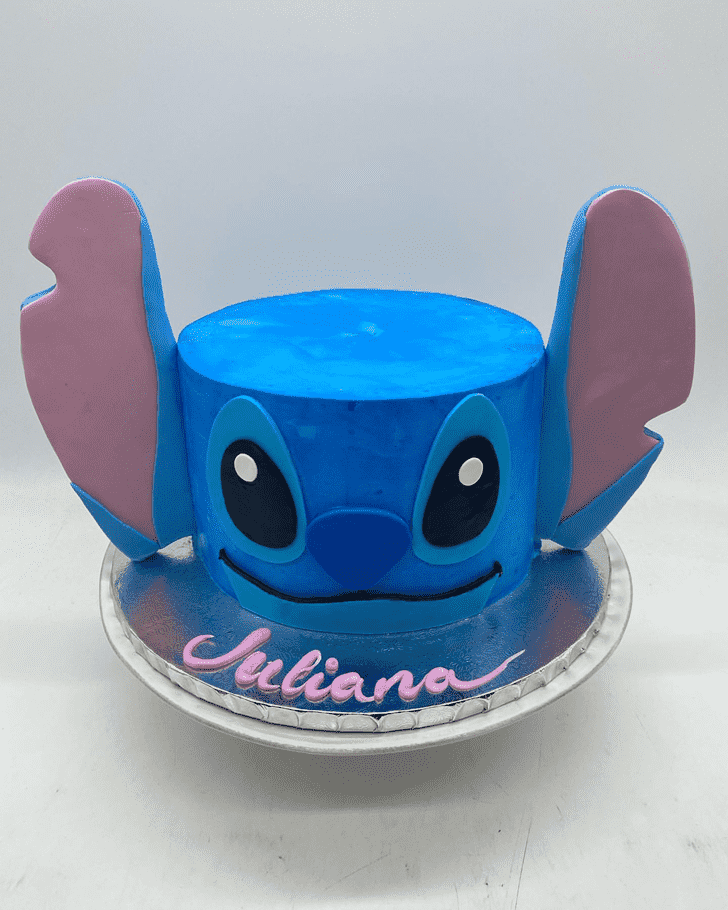 Elegant Stitch Cake