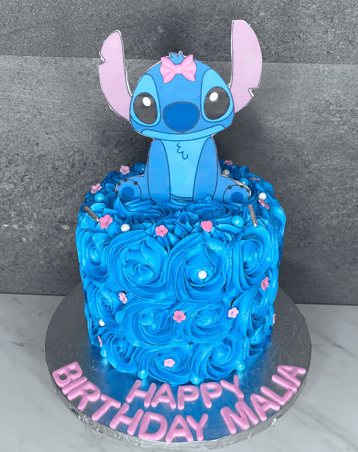 Good Looking Stitch Cake