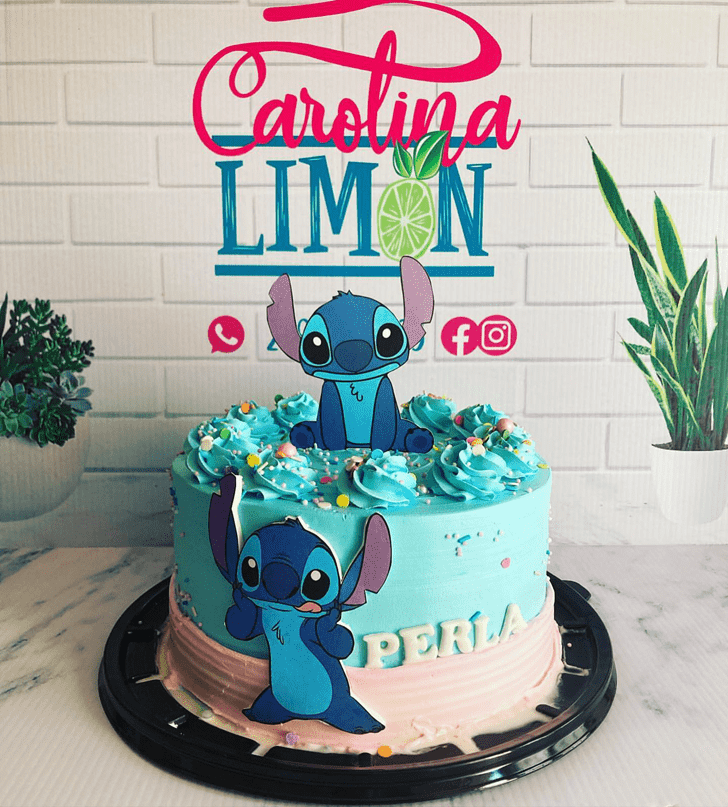 Graceful Stitch Cake