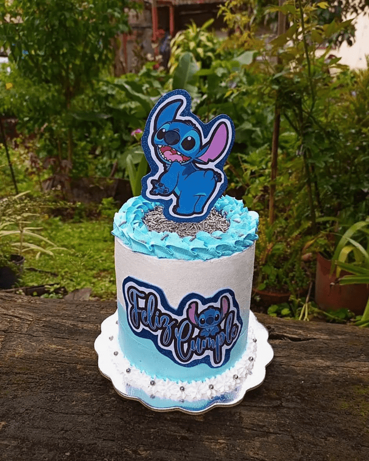 Magnetic Stitch Cake