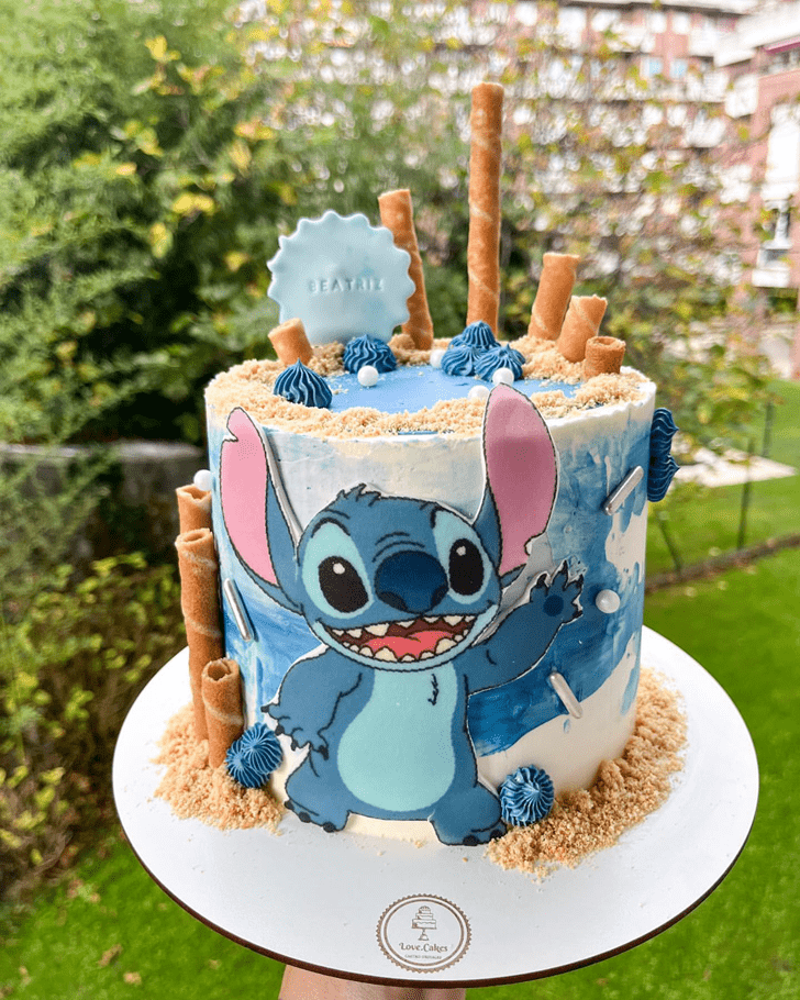 Splendid Stitch Cake