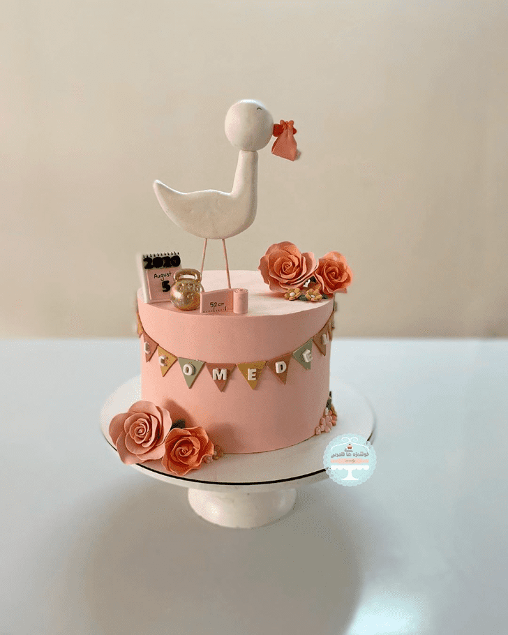 Wonderful Stork Cake Design