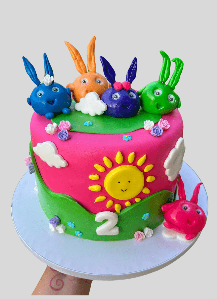 Magnetic Sunny Bunnies Cake