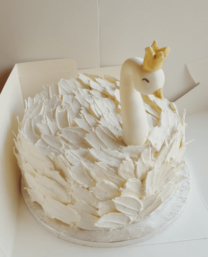 Dazzling Swan Cake